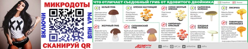 Купить  Суворов  Галлюциногенные грибы Psilocybe 